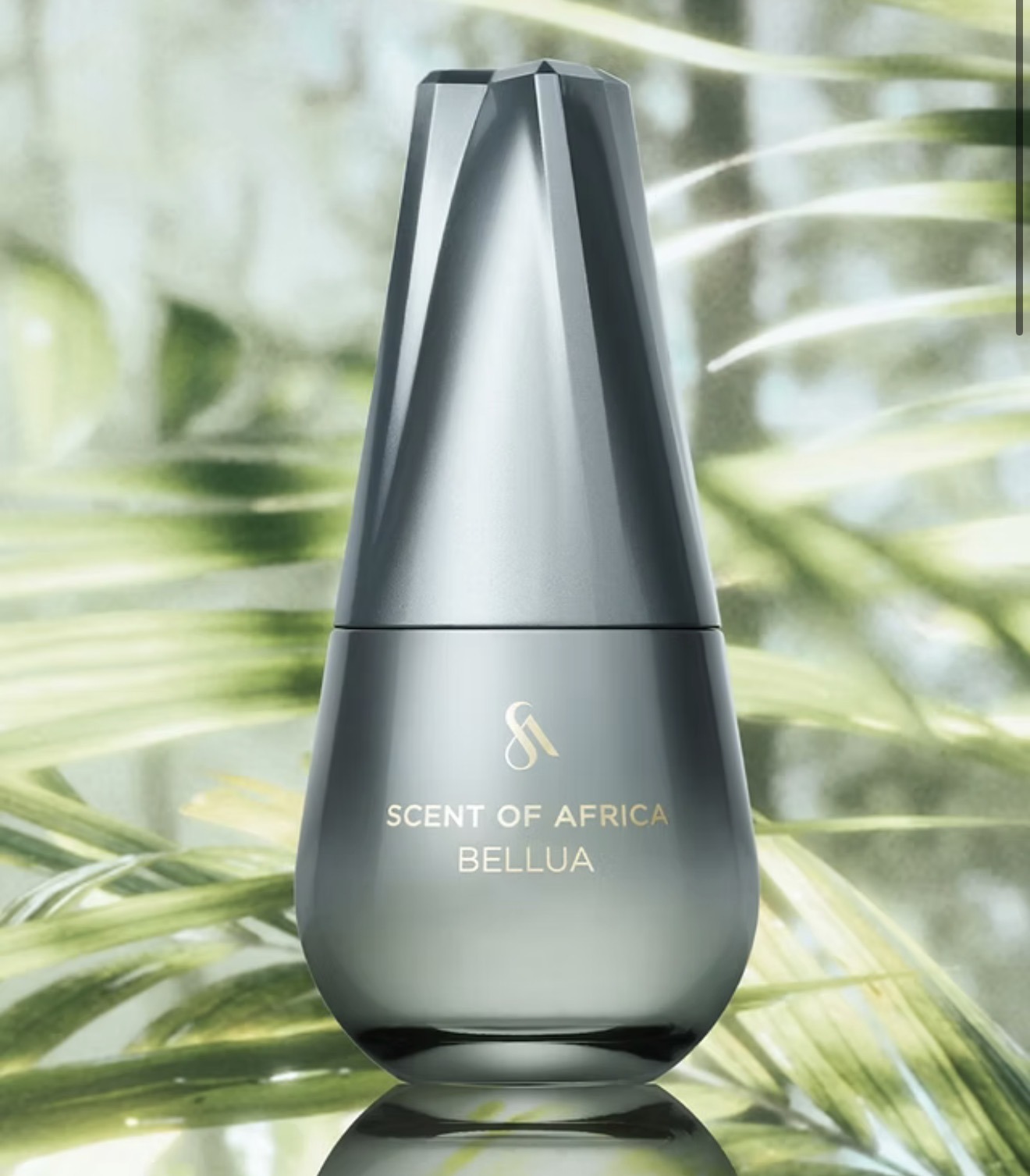 Scent of Africa Bellua perfume bottle against green palm fronds